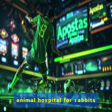 animal hospital for rabbits